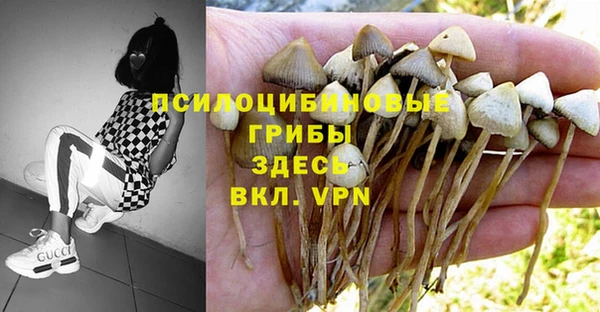 дмт Алзамай