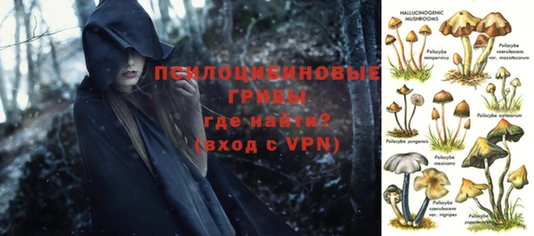 прущий лед Алексин