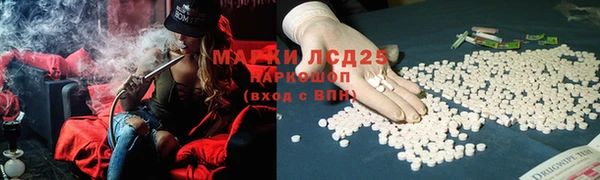 дмт Алзамай