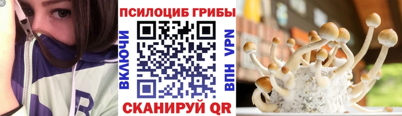 маркетплейс какой сайт где продают наркотики Новая Ляля Галлюциногенные грибы мухоморы